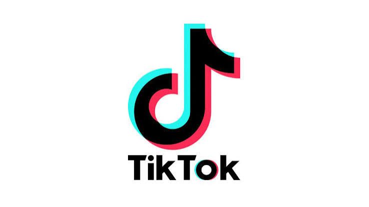Tiktok 法国（FR）注册超过5个月 - Hotmail LIVE OAUTH2 | 2025年1月
